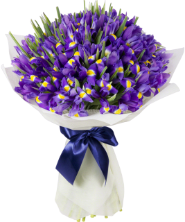 Букет «Фиолетовые брызги»